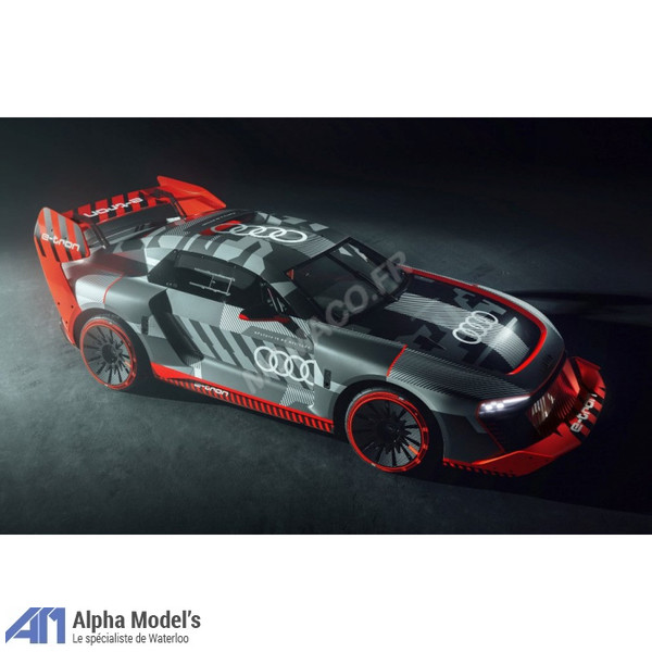 Burago 38311 Audi S1 E Tron Quattro Hoonitron Ken Block Alphamodels